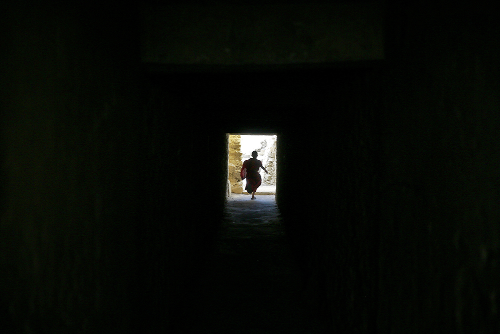 2017-01-05T120526Z_1382804329_RC1E0DA5C620_RTRMADP_3_INDIA-MONKS