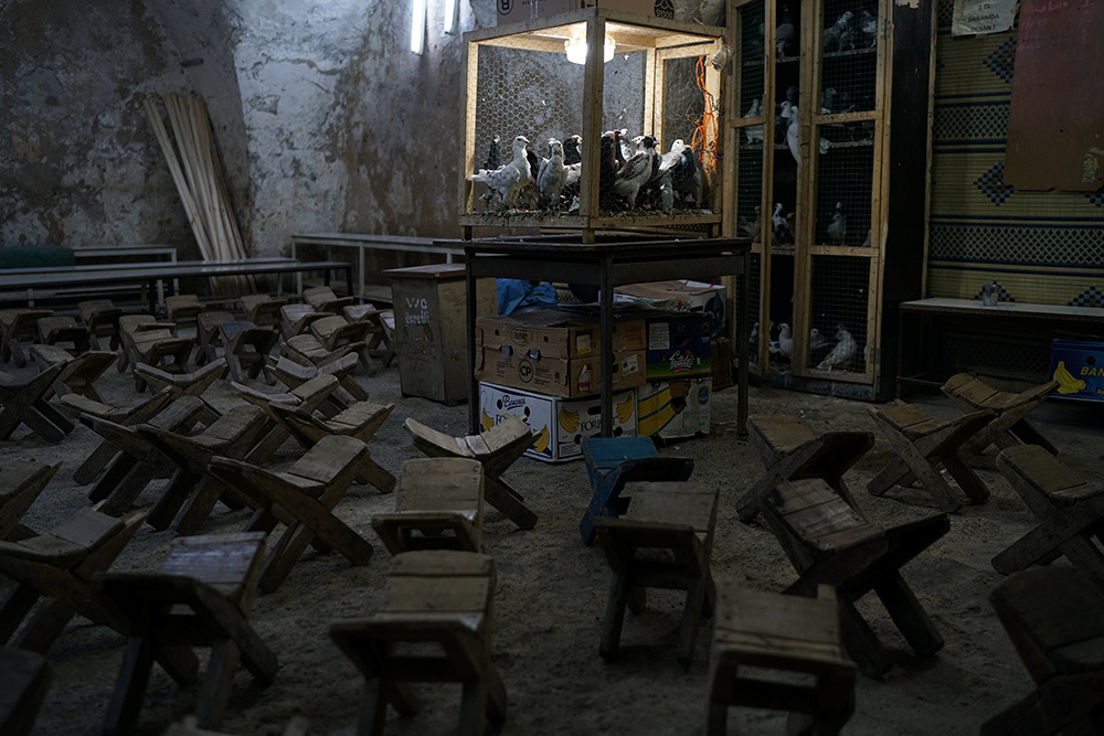 2017-01-13T113133Z_1330262495_RC110923DD90_RTRMADP_3_TURKEY-PIGEONS