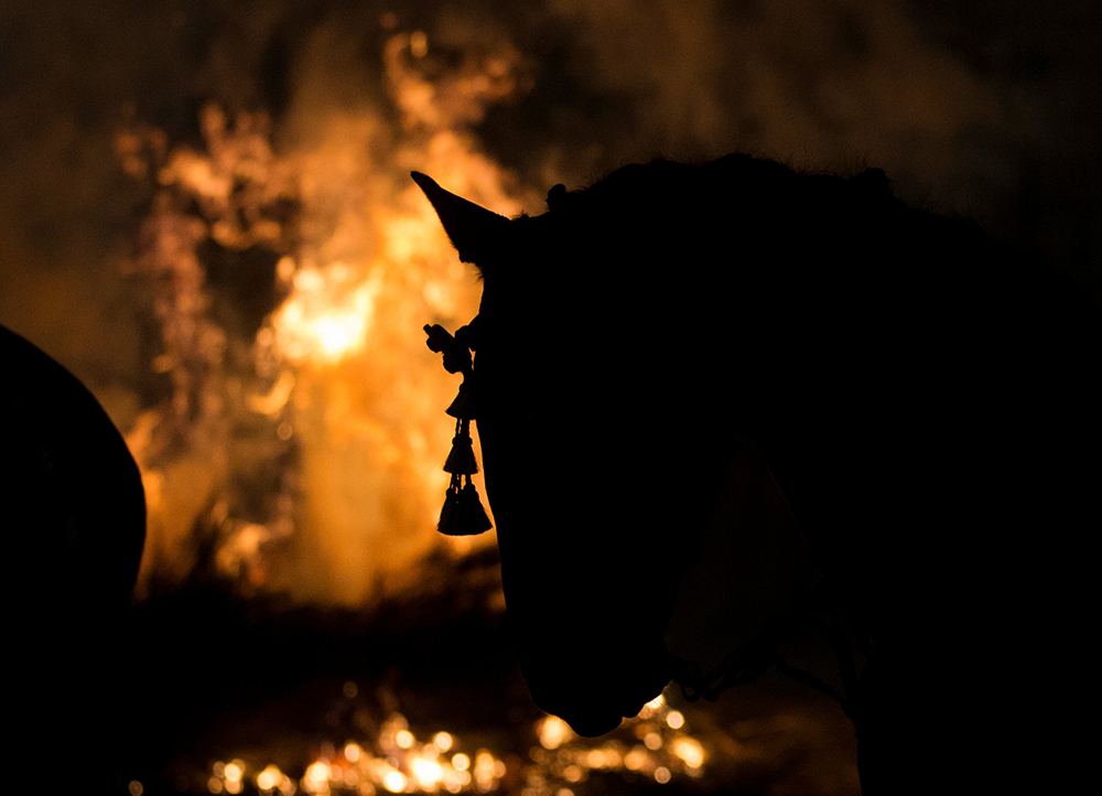 2017-01-16T235440Z_1827528148_RC151DE88010_RTRMADP_3_SPAIN-CULTURE