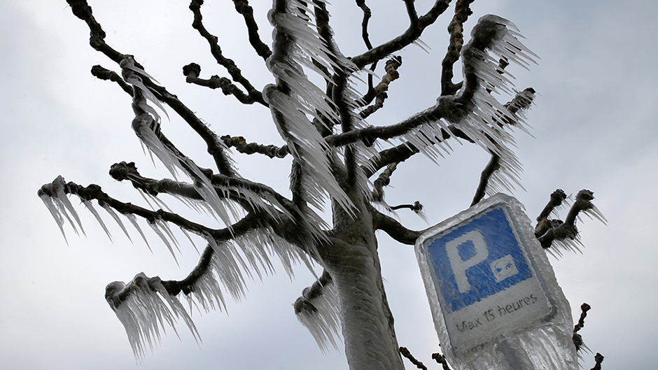 2017-01-18T134620Z_865711648_RC11A4FC9510_RTRMADP_3_SWISS-WEATHER 11