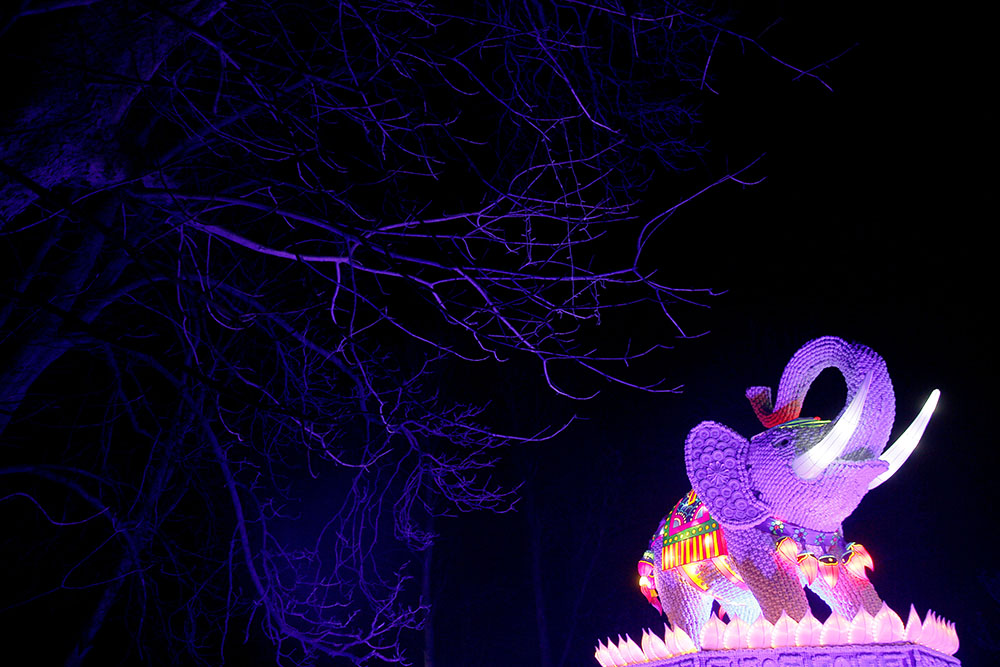 2017-01-18T224517Z_556537569_RC1B0AAC9030_RTRMADP_3_LUNAR-NEWYEAR-BRITAIN