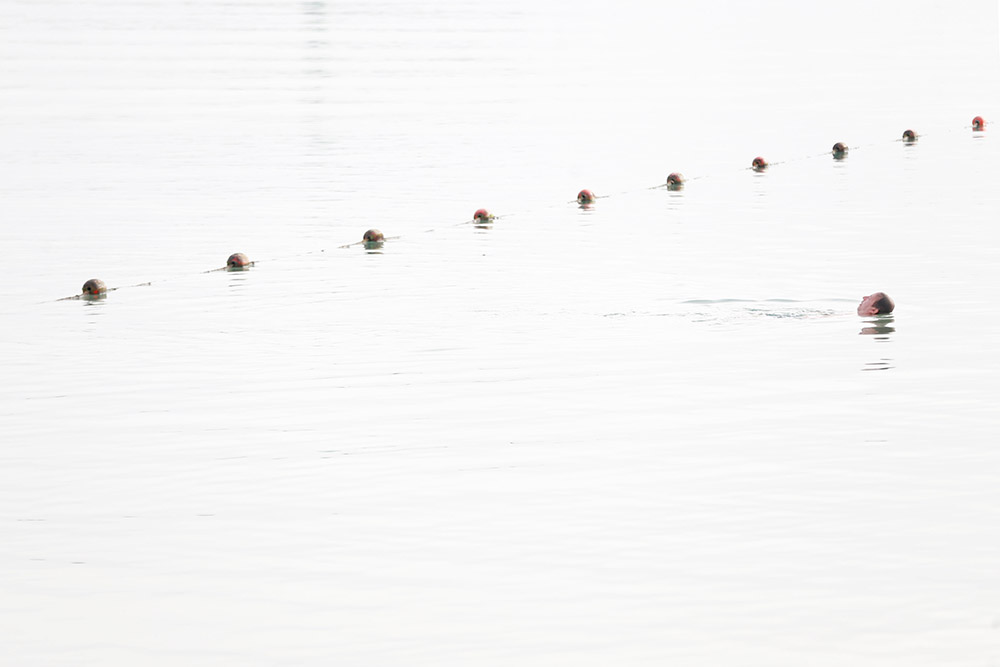 2017-01-20T150455Z_1968493570_RC17486BBFF0_RTRMADP_3_ISRAEL-BEACH