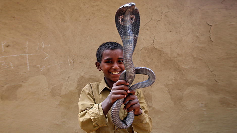 2017-01-25T130441Z_1654479530_RC14EE45F040_RTRMADP_3_INDIA-SNAKECHARMERS 11