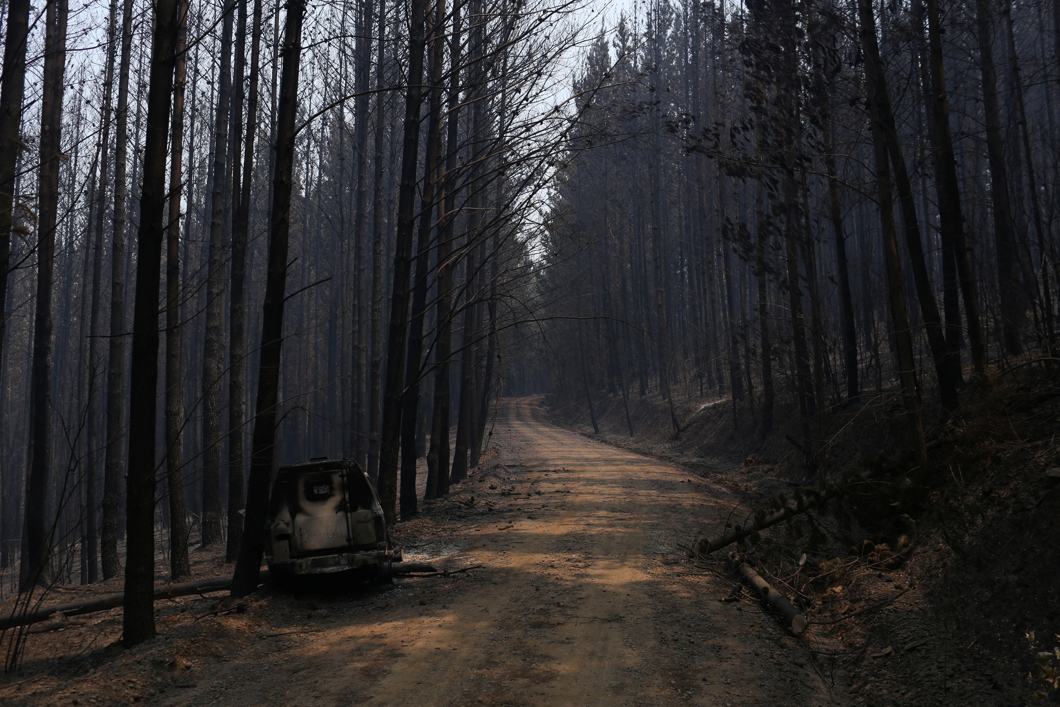 2017-01-27T223818Z_1656494496_RC1F1EFFAD60_RTRMADP_3_CHILE-WILDFIRE