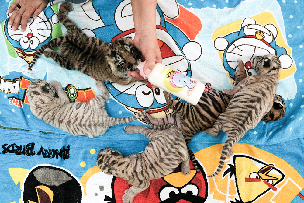 REUTERS/Athit Perawongmetha