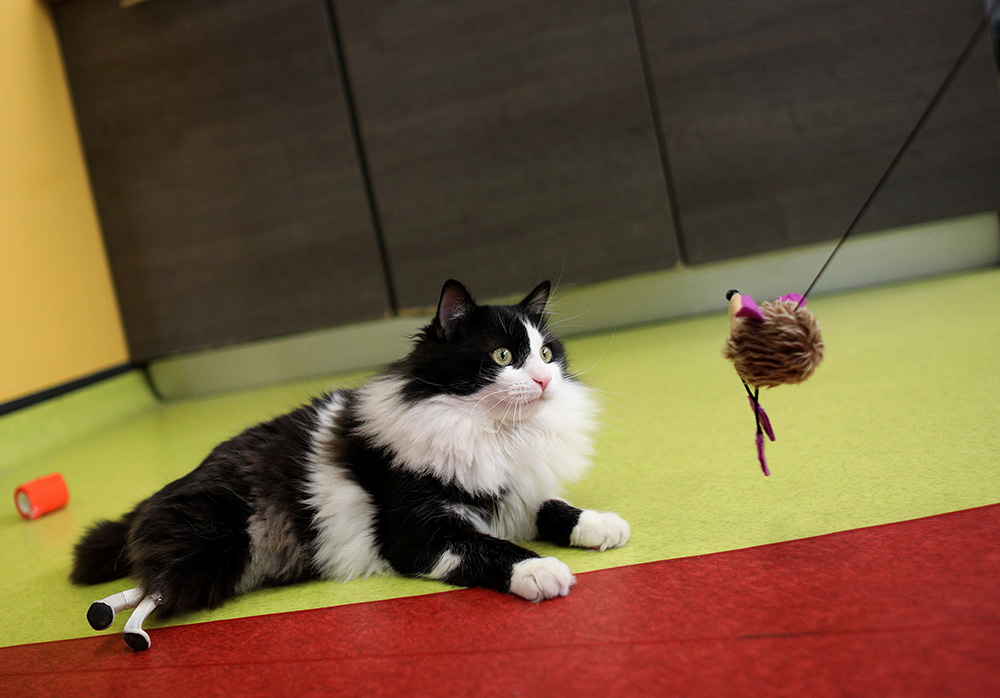 REUTERS/Stoyan Nenov