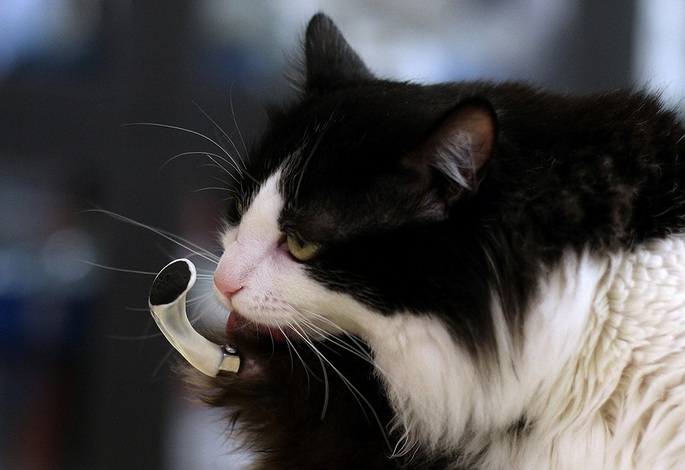 REUTERS/Stoyan Nenov