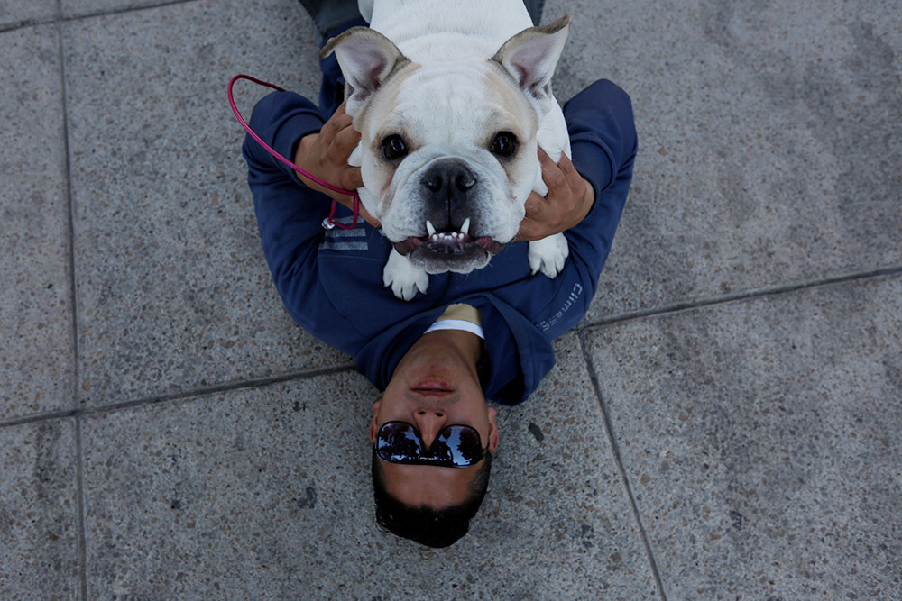 2017-02-26T195549Z_1830361144_RC1F1AEAA740_RTRMADP_3_MEXICO-RECORD-BULLDOGS