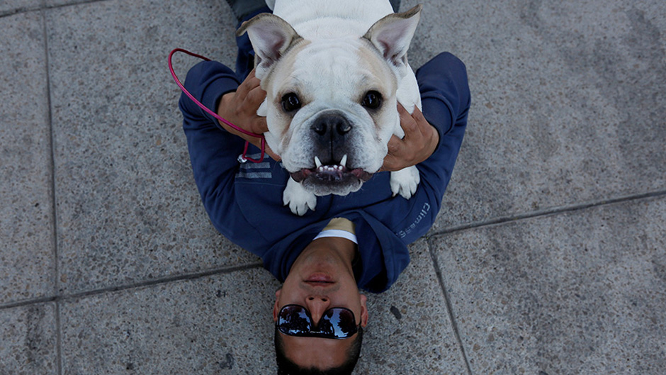 2017-02-26T195549Z_1830361144_RC1F1AEAA740_RTRMADP_3_MEXICO-RECORD-BULLDOGS 11