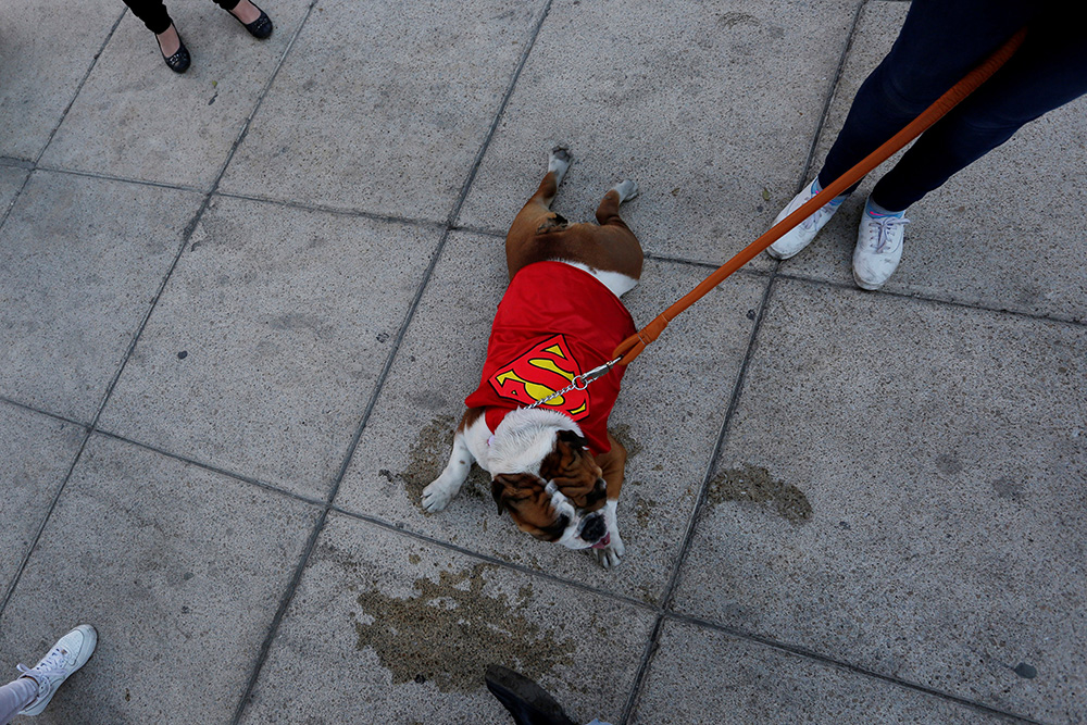 REUTERS/Carlos Jasso