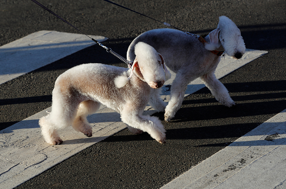 REUTERS/Darren Staples