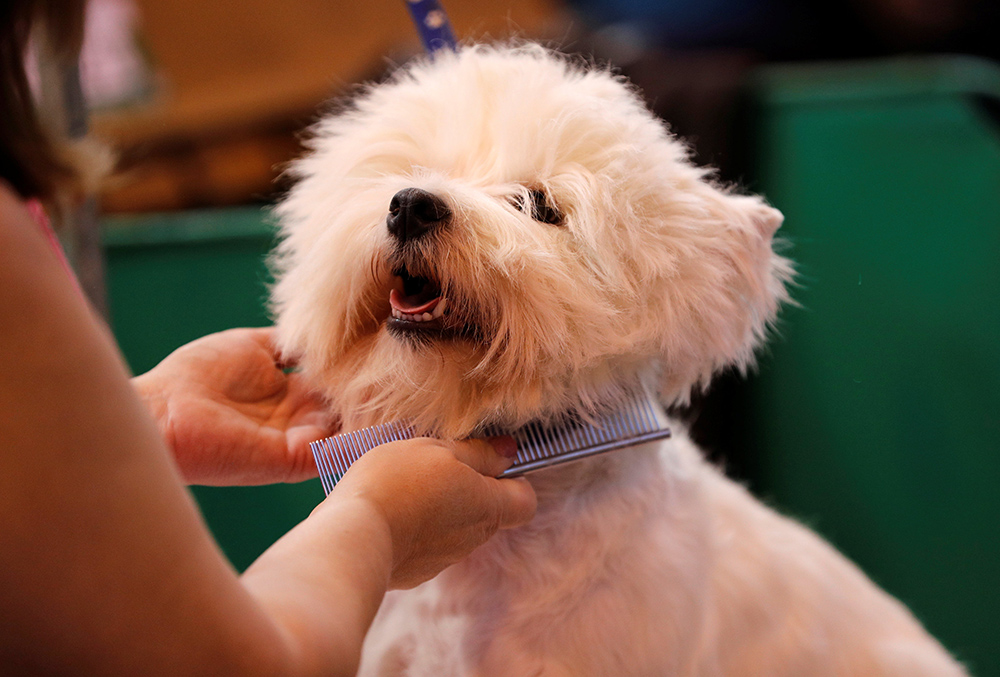 REUTERS/Darren Staples