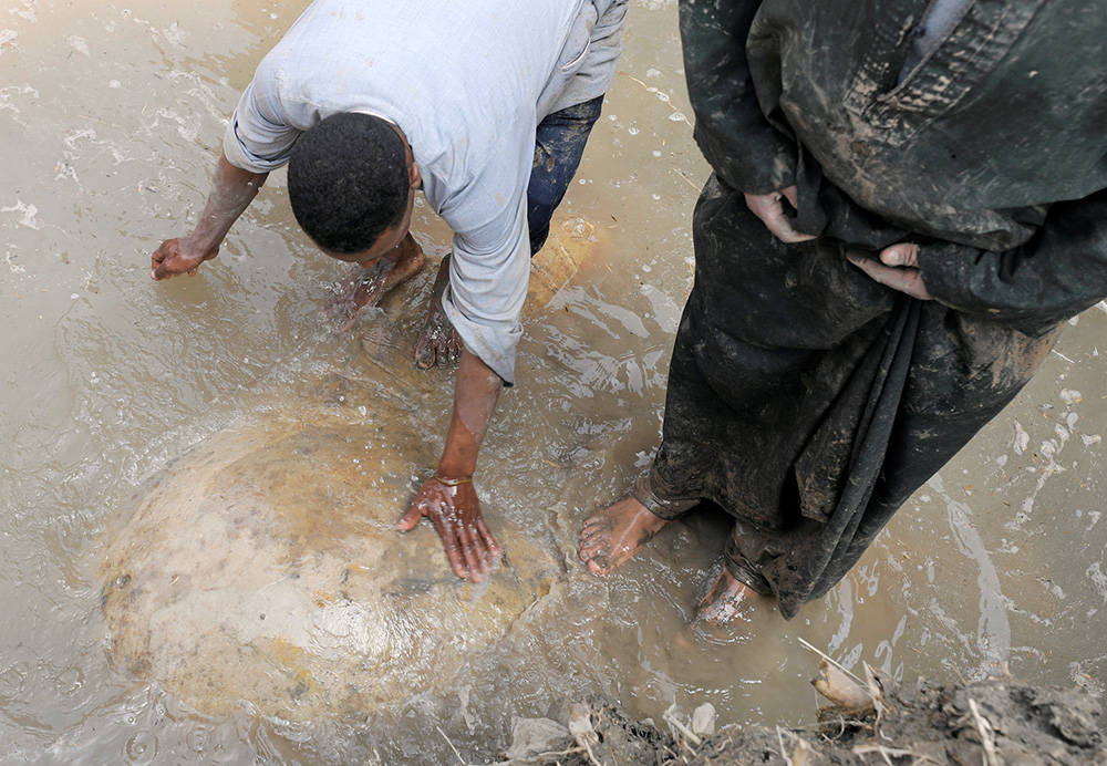 REUTERS/Mohamed Abd El Ghany