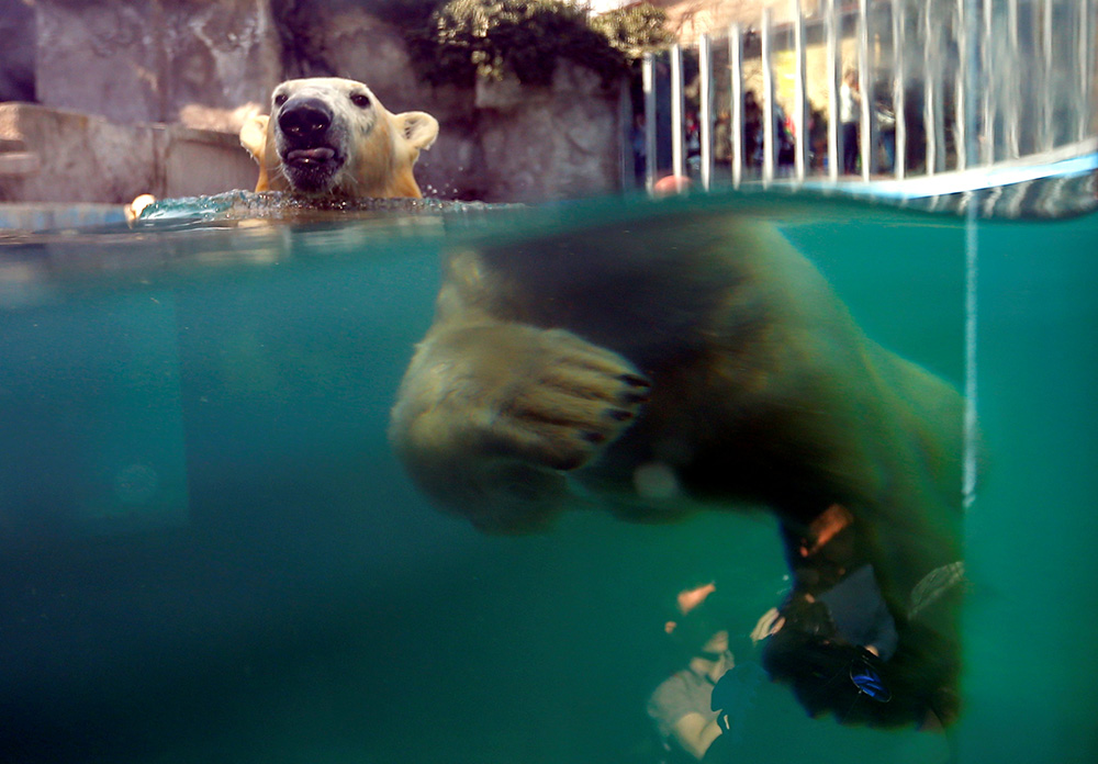 Reuters/Laszlo Balogh