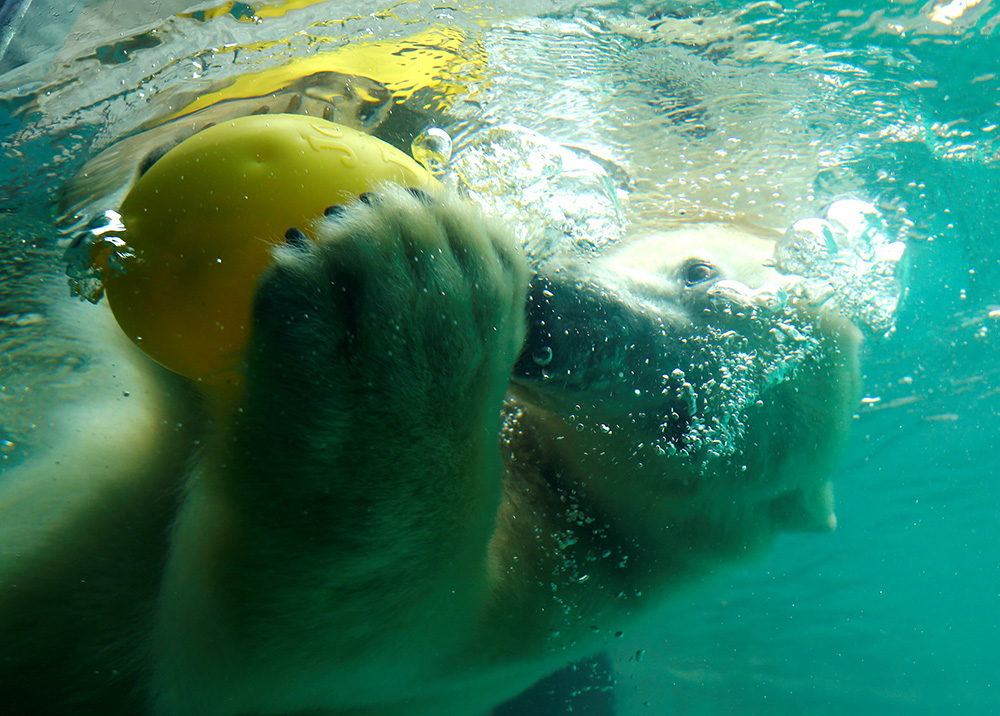 Reuters/Laszlo Balogh