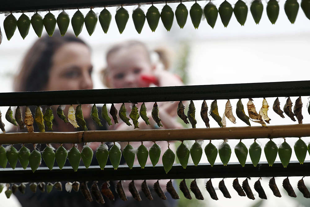 REUTERS/Stefan Wermuth