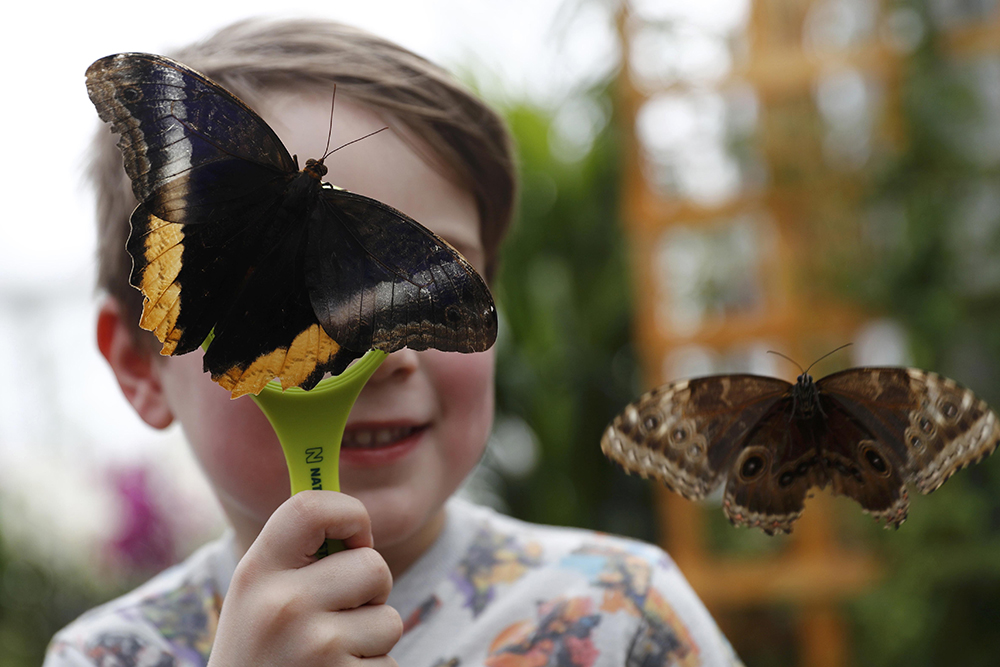 REUTERS/Stefan Wermuth