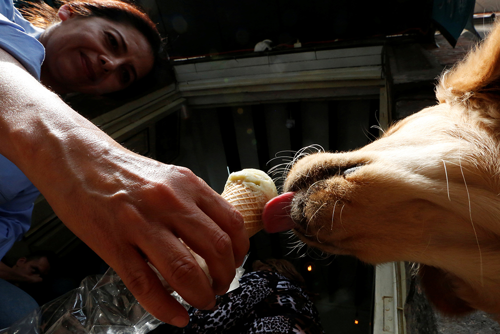 REUTERS/Carlos Jasso