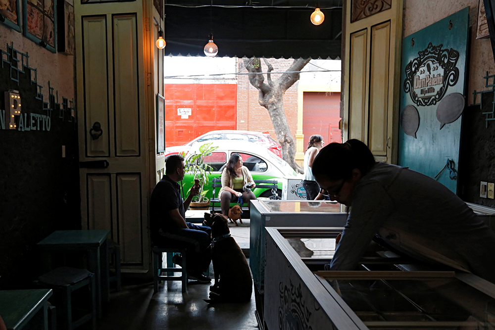 2017-04-10T034012Z_2024124102_RC13A85F5200_RTRMADP_3_MEXICO-ANIMAL-DOGS-ICE-CREAM