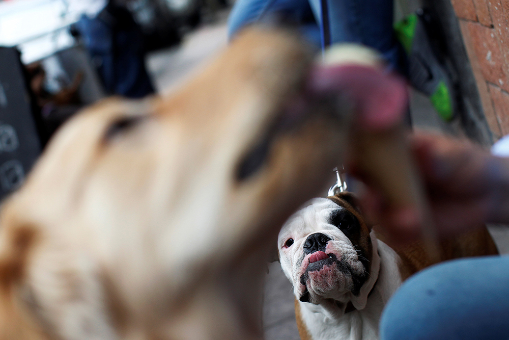 REUTERS/Carlos Jasso