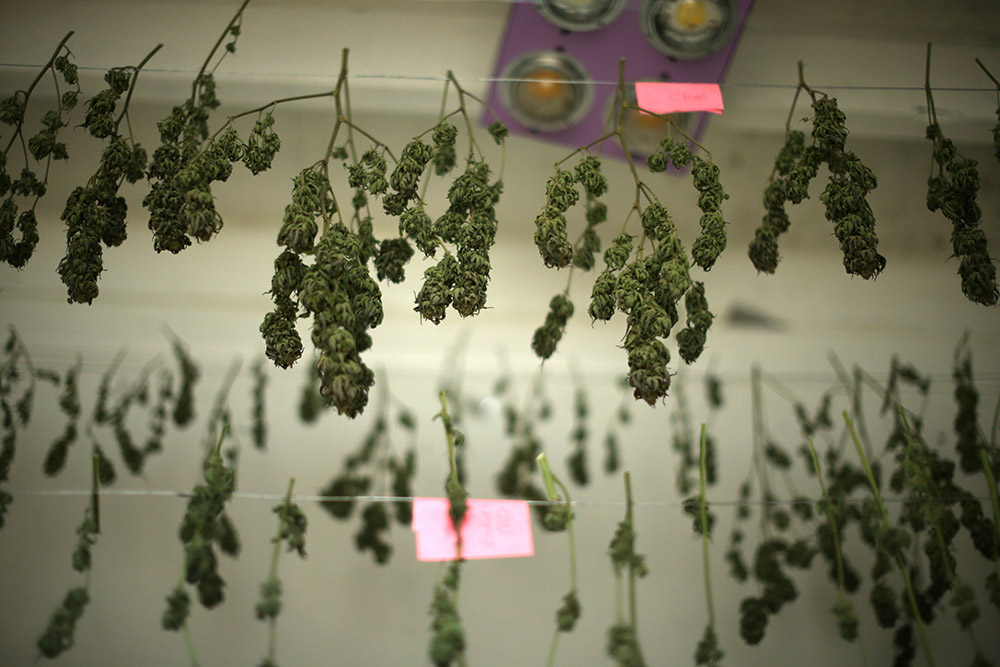 REUTERS/Lucy Nicholson