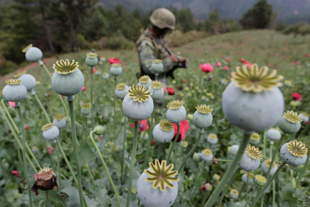 2017-05-08T053638Z_1068490988_RC1FD4F64100_RTRMADP_3_USA-MEXICO-HEROIN