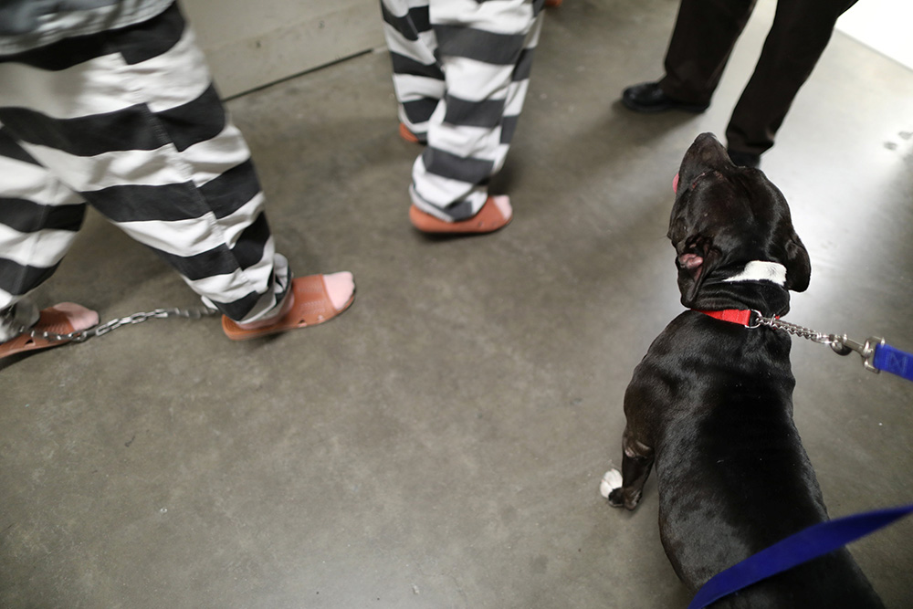 REUTERS/Lucy Nicholson