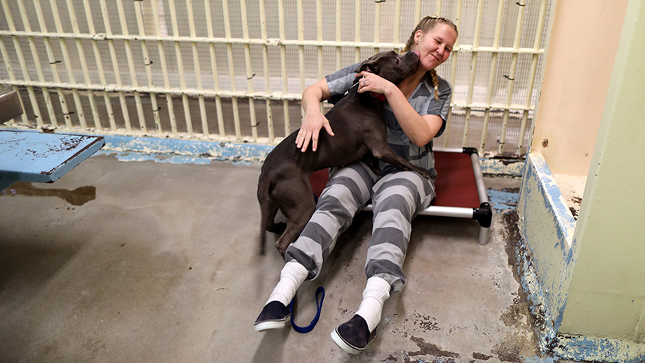 2017-05-11T160749Z_815317970_RC1B425B51E0_RTRMADP_3_USA-DOGS-JAIL 1