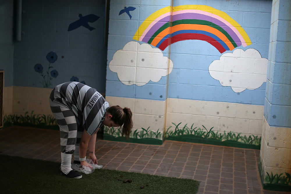 REUTERS/Lucy Nicholson