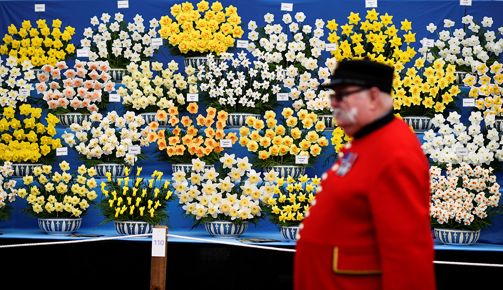 REUTERS/Dylan Martinez