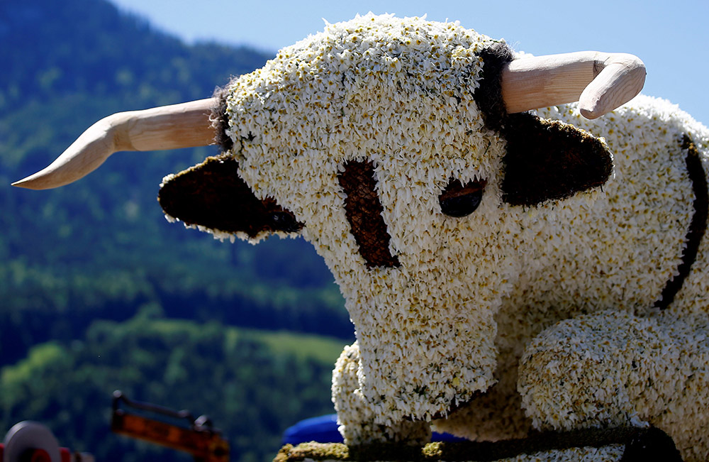 REUTERS/Leonhard Foeger