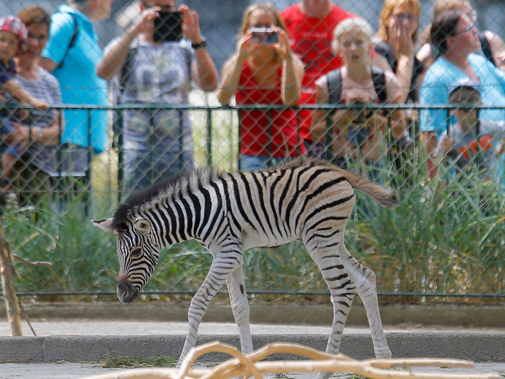 REUTERS/Heinz-Peter Bader