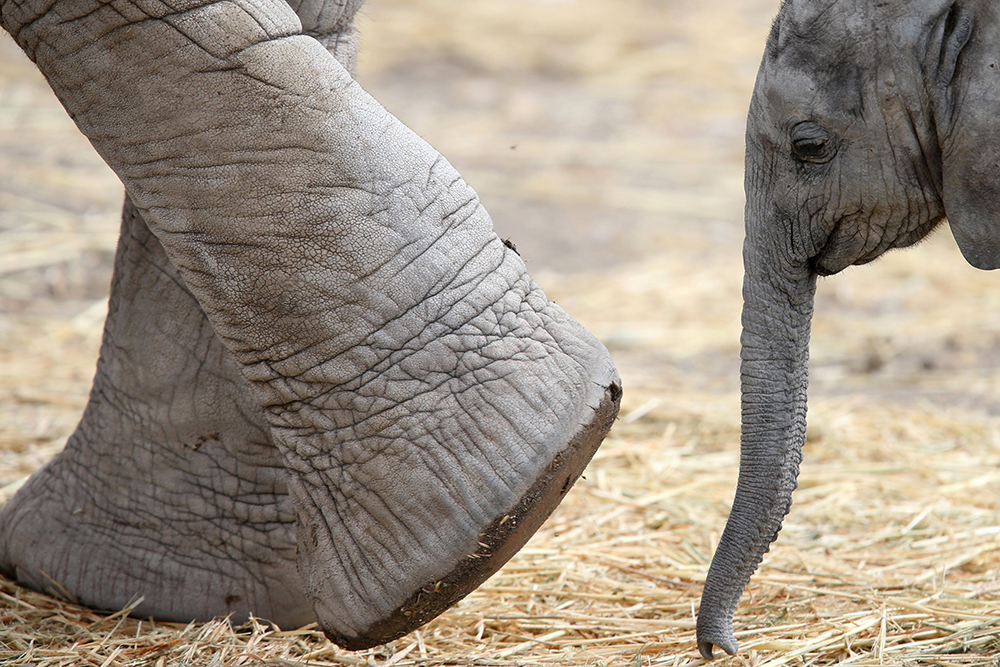 REUTERS/Edgard Garrido