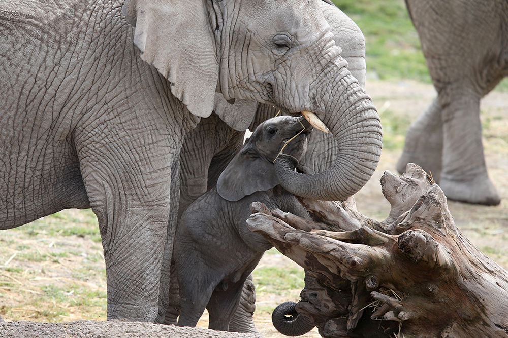 REUTERS/Edgard Garrido