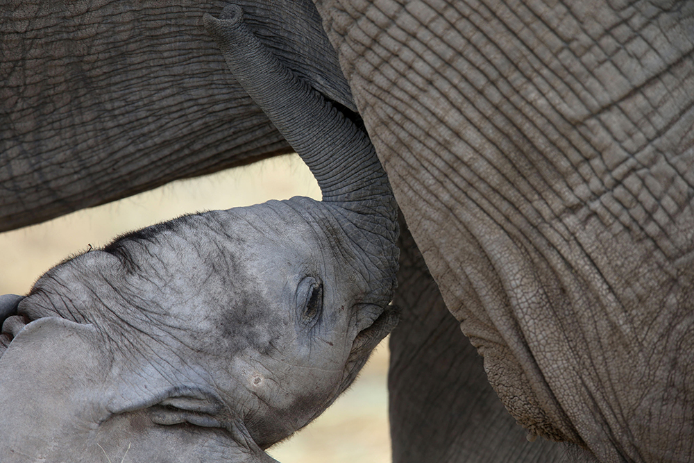 REUTERS/Edgard Garrido