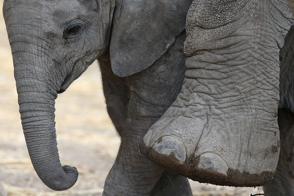 REUTERS/Edgard Garrido