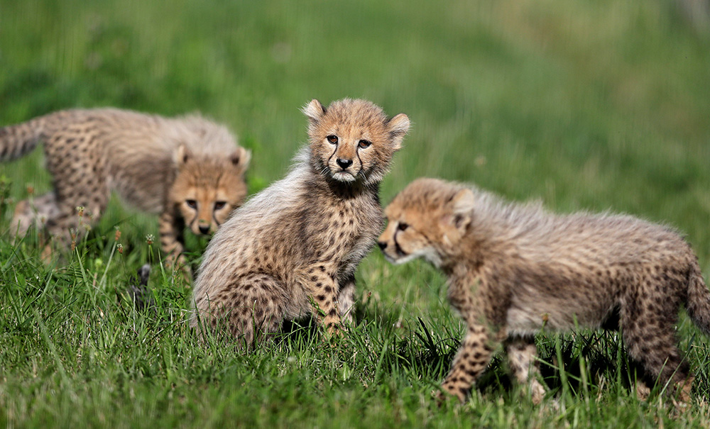 REUTERS/David W Cerny
