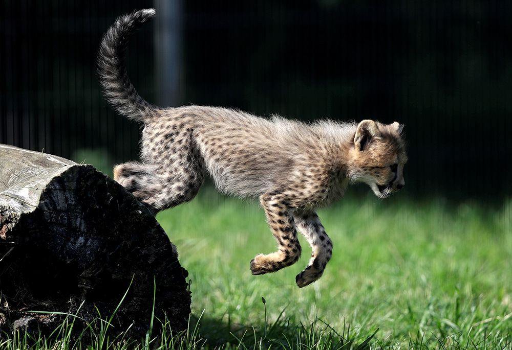 REUTERS/David W Cerny