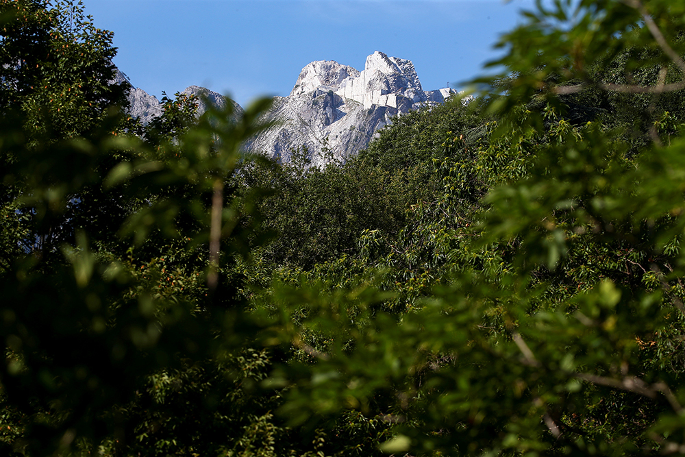 REUTERS/Alessandro Bianchi