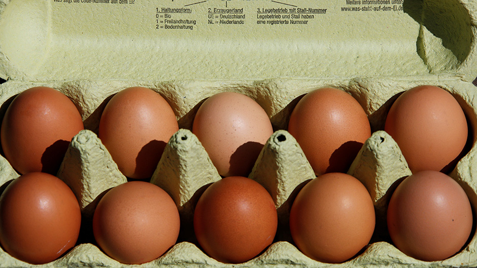 2017-08-04t112713z-2116472554-rc13c6ce6850-rtrmadp-3-netherlands-germany-eggs-134212.jpeg