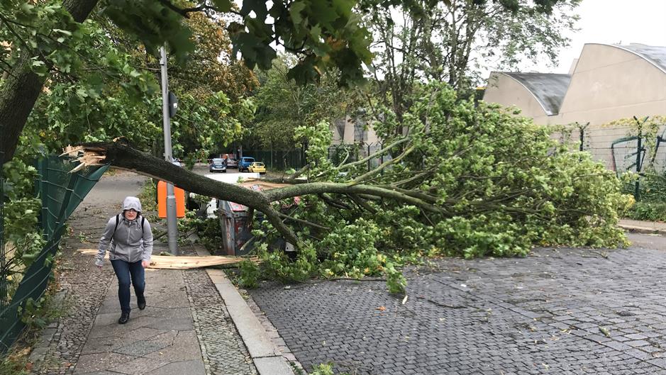 2017-10-05T163525Z_1905001776_RC1B3BAB1860_RTRMADP_3_GERMANY-STORM