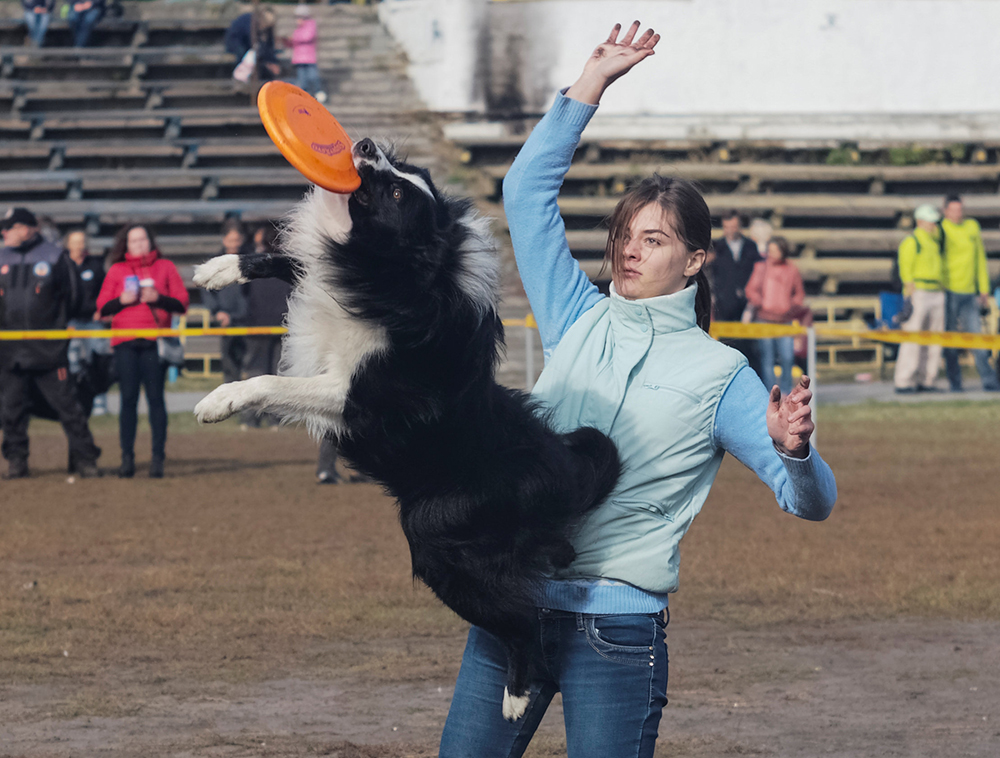 2017-10-07T173617Z_1982570476_RC1A2E735590_RTRMADP_3_UKRAINE-ANIMALS