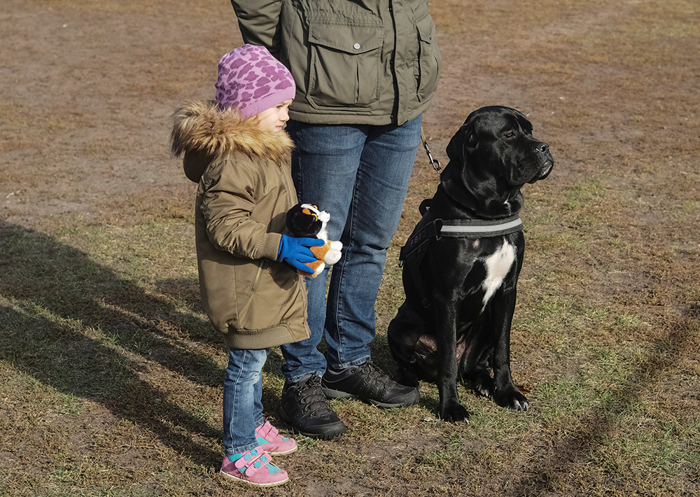 2017-10-07T173657Z_1590132522_RC17DA472030_RTRMADP_3_UKRAINE-ANIMALS