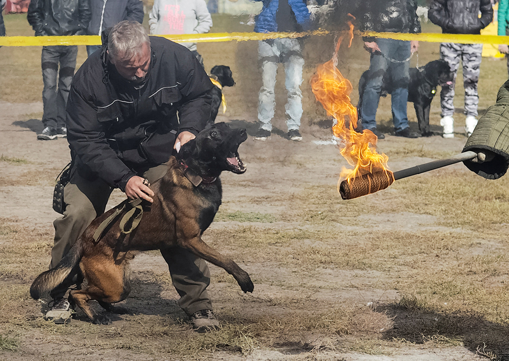REUTERS/Gleb Garanich