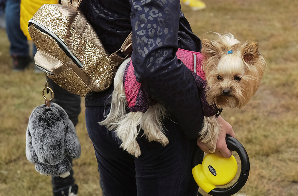 REUTERS/Gleb Garanich