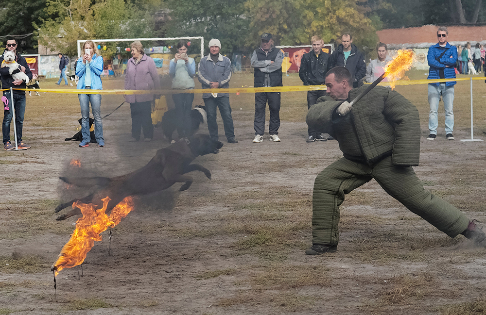 REUTERS/Gleb Garanich