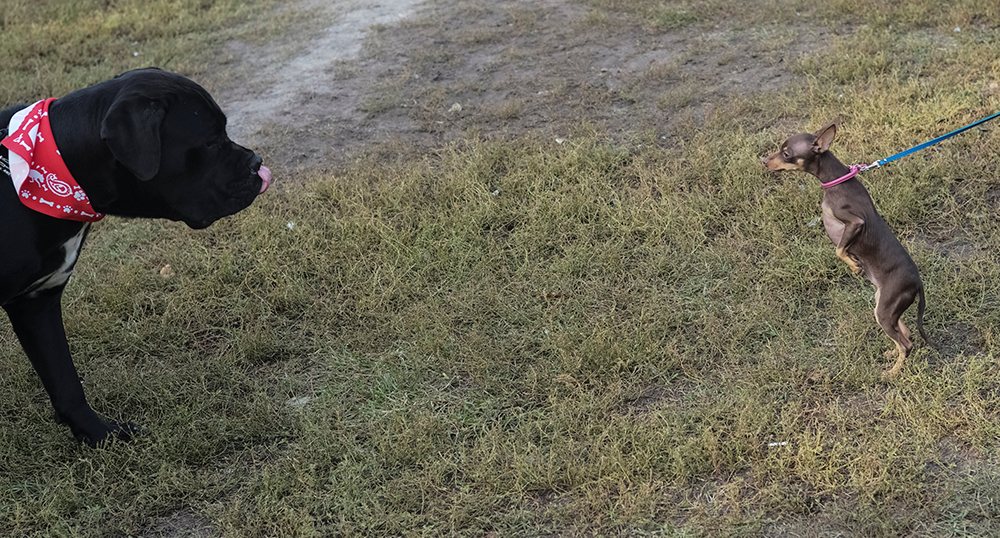 REUTERS/Gleb Garanich