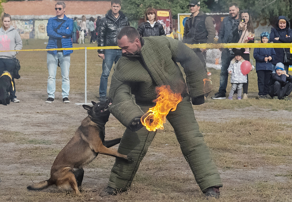 2017-10-07T193836Z_515491814_RC1620CD3480_RTRMADP_3_UKRAINE-ANIMALS