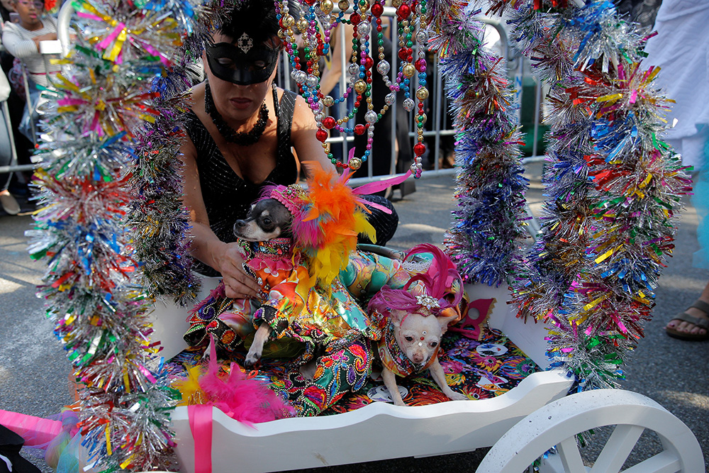 REUTERS/Lucas Jackson