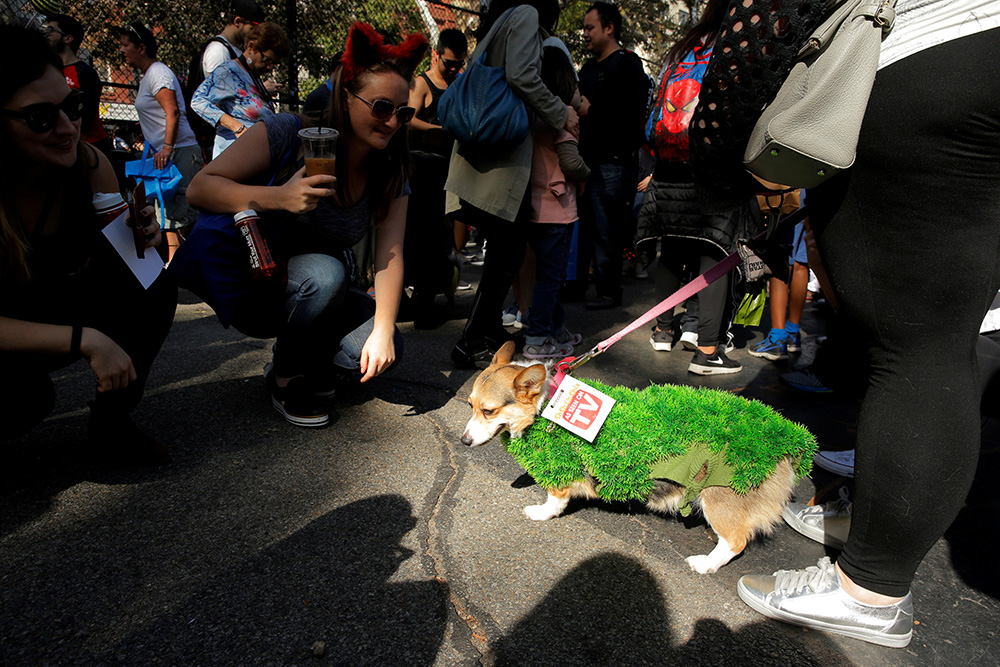 REUTERS/Lucas Jackson